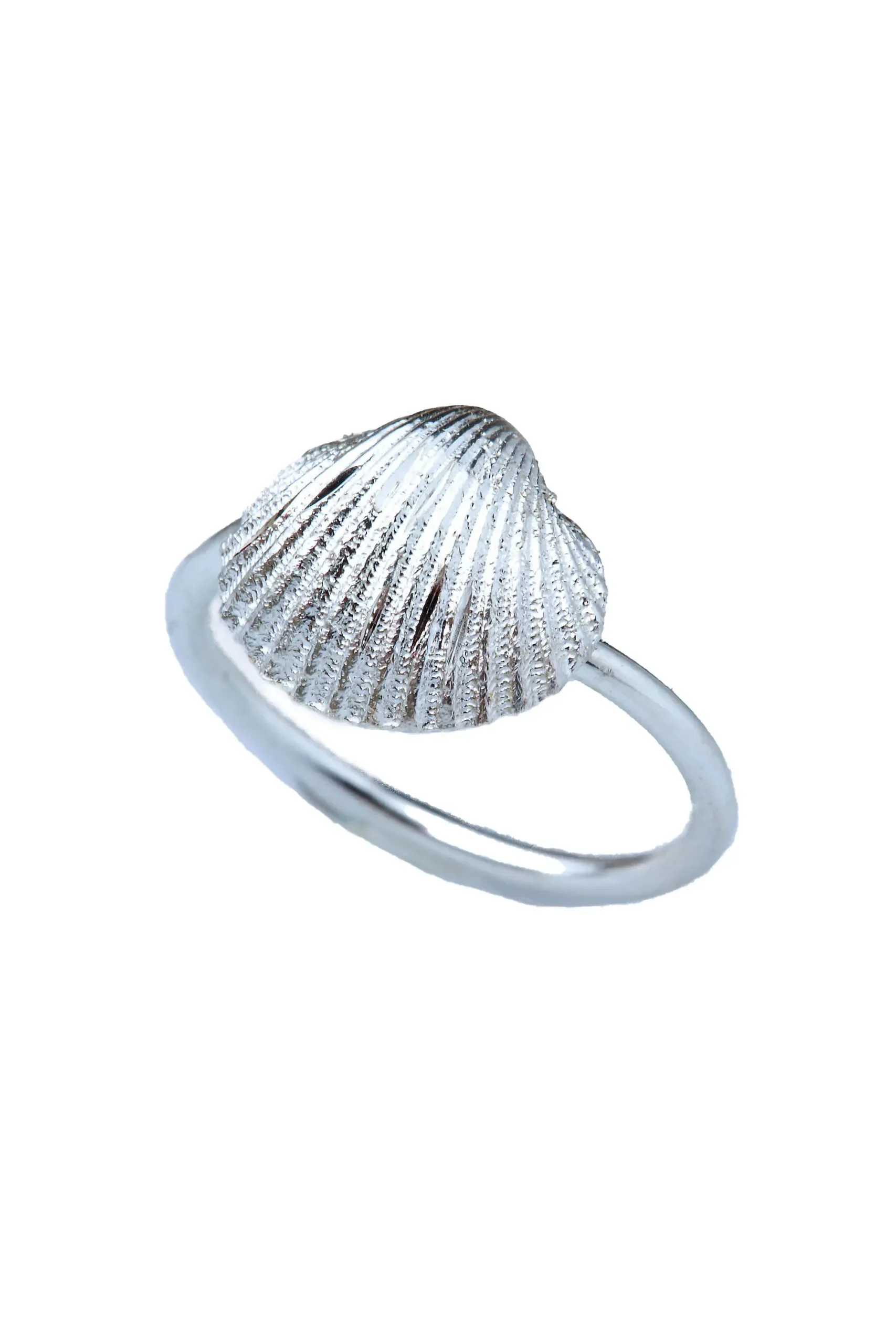 Handmade Jewellery | Seashell adjustable rhodioum plated silver ring with diamond dust main